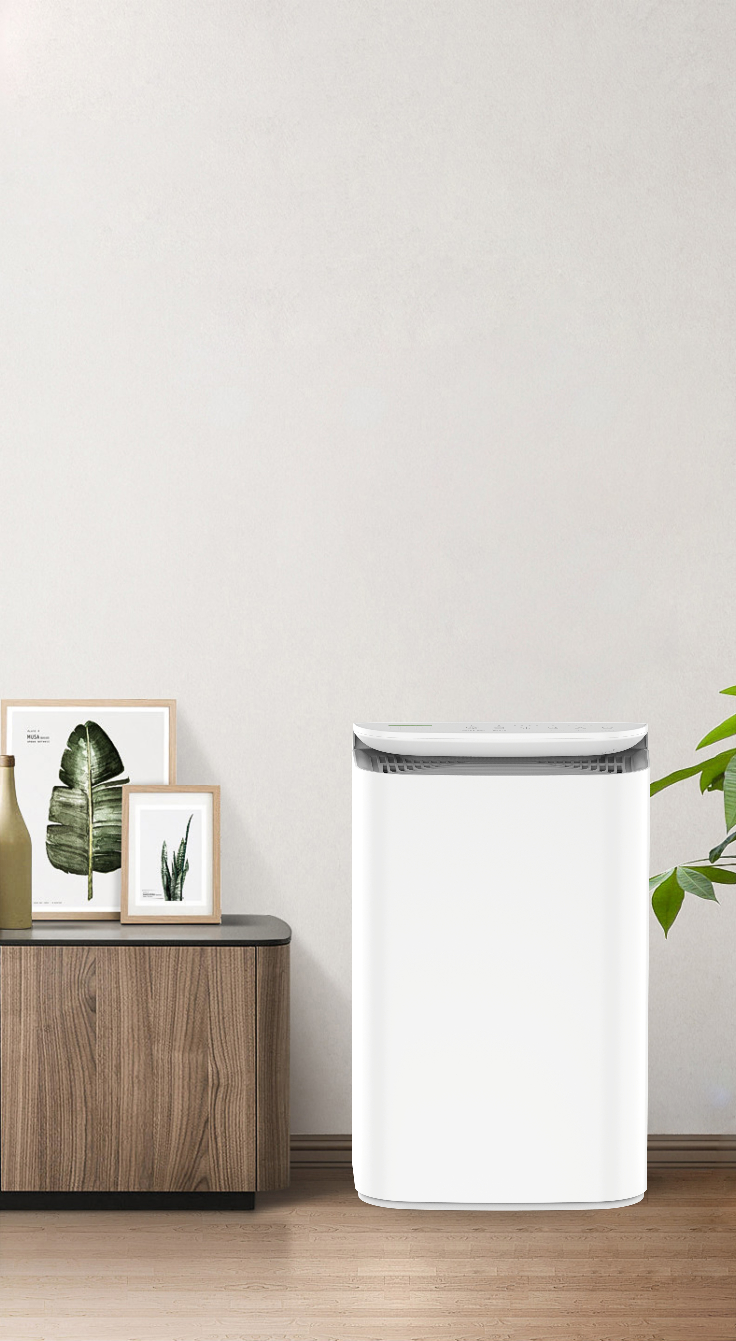 Uasghrádú ar theicneolaíocht anion anáil úr na foraoise BKJ-16B